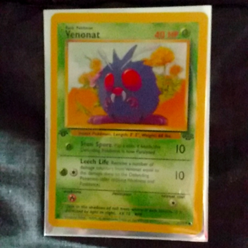 Pokemon Jungle